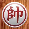 中国象棋棋逢对手正版