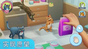 我的宠物猫模拟器